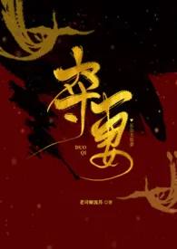 夺妻(论如何肏到别人的新娘)