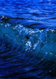 你敢（纯百 姑侄）