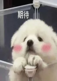 侥幸(骨科)