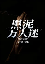 黑泥万人迷短篇合集(纯肉)