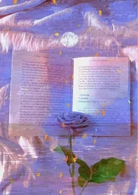 这女配谁爱当谁当(np强制)