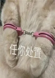 穿越单元合集gl（纯百+futa+abo）