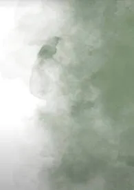 晚来烟（古言）