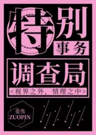 特别事物调查局【np】