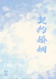 契约婚姻(纯百)
